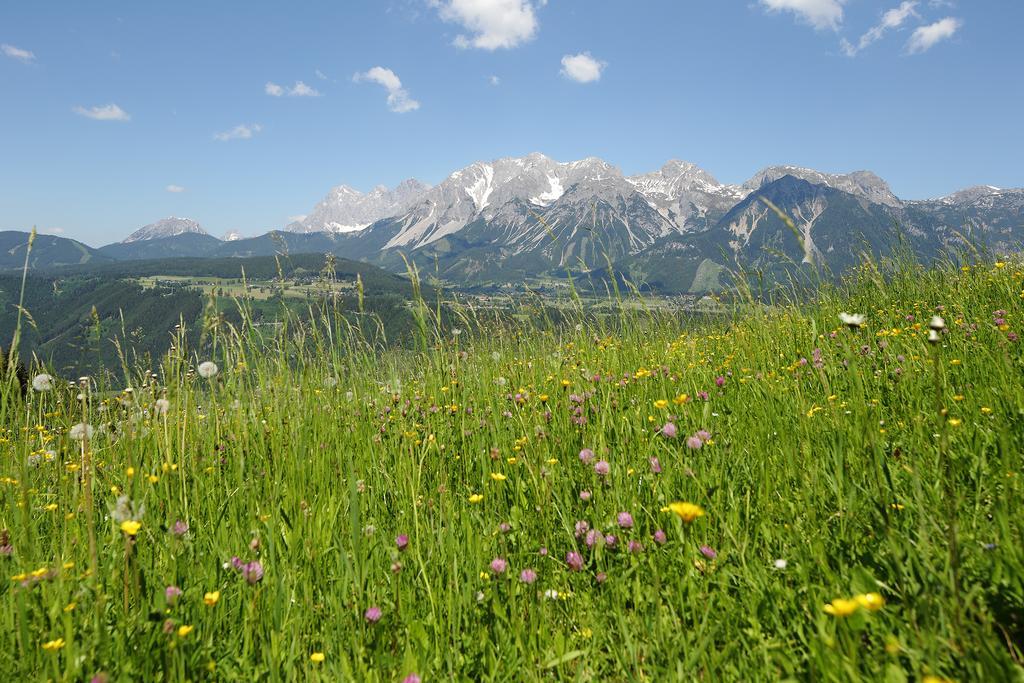 Chalet Alm Planai シュラートミンク エクステリア 写真